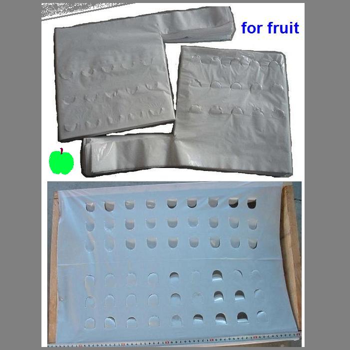 Fruit Basket Bag